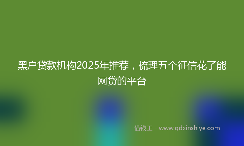 黑户贷款机构2025年推荐，梳理五个征信花了能网贷的平台