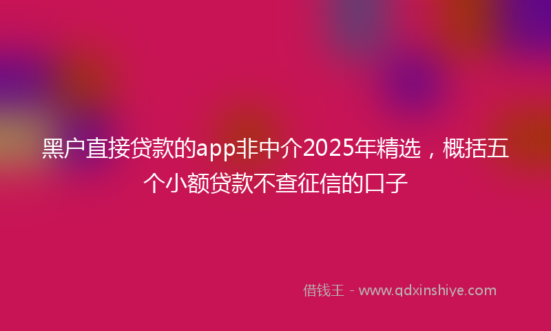 黑户直接贷款的app非中介2025年精选，概括五个小额贷款不查征信的口子
