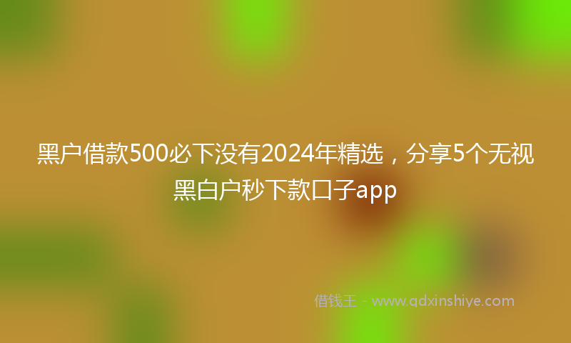 黑户借款500必下没有2024年精选，分享5个无视黑白户秒下款口子app