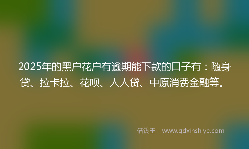 2025年的黑户花户有逾期能下款的口子有：随身贷、拉卡拉、花呗、人人贷、中原消费金融等。