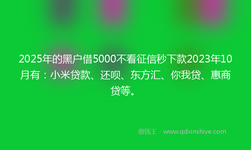 2025年的黑户借5000不看征信秒下款2023年10月有：小米贷款、还呗、东方汇、你我贷、惠商贷等。