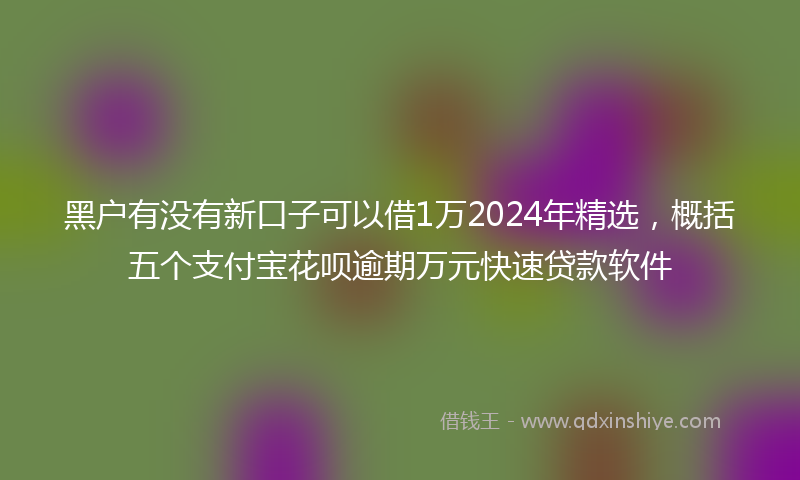 黑户有没有新口子可以借1万2024年精选，概括五个支付宝花呗逾期万元快速贷款软件