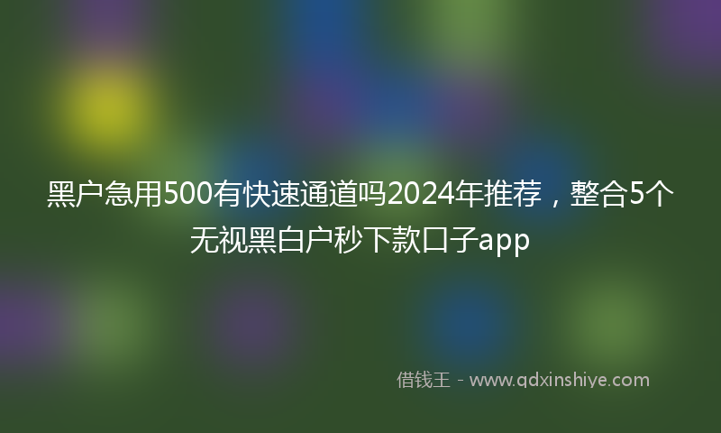 黑户急用500有快速通道吗2024年推荐，整合5个无视黑白户秒下款口子app