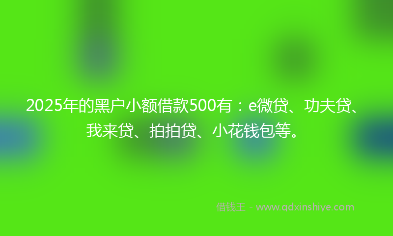 2025年的黑户小额借款500有：e微贷、功夫贷、我来贷、拍拍贷、小花钱包等。