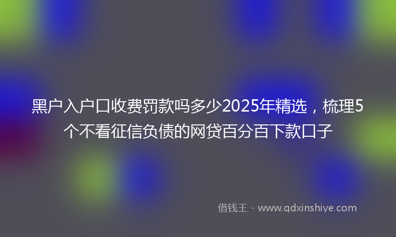 黑户入户口收费罚款吗多少2025年精选，梳理5个不看征信负债的网贷百分百下款口子