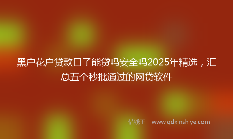 黑户花户贷款口子能贷吗安全吗2025年精选，汇总五个秒批通过的网贷软件
