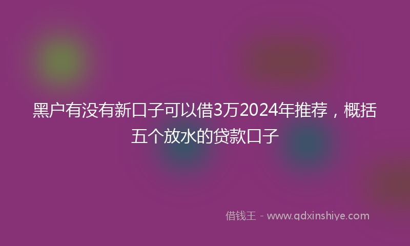 黑户有没有新口子可以借3万2024年推荐，概括五个放水的贷款口子