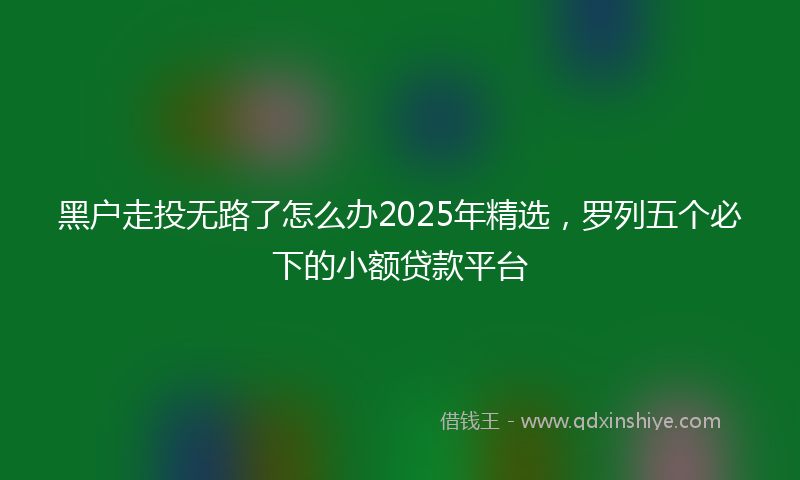 黑户走投无路了怎么办2025年精选，罗列五个必下的小额贷款平台