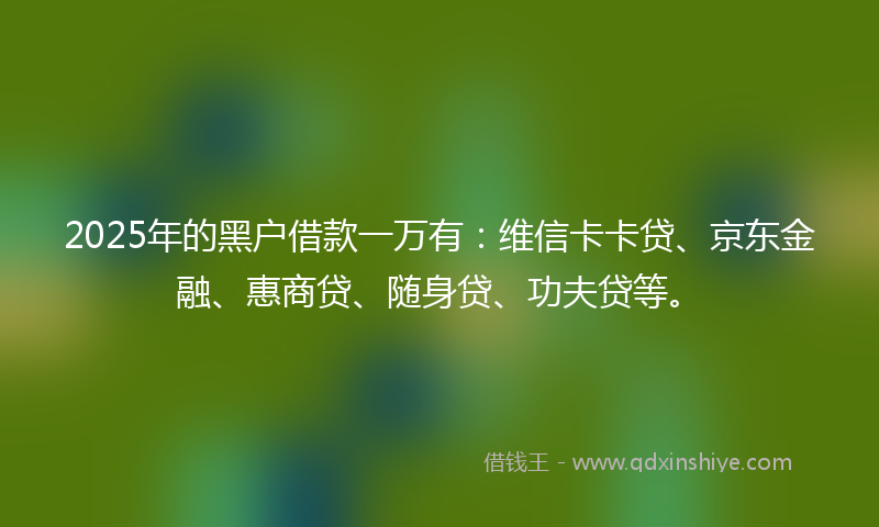 2025年的黑户借款一万有：维信卡卡贷、京东金融、惠商贷、随身贷、功夫贷等。