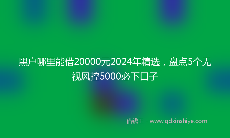 黑户哪里能借20000元2024年精选，盘点5个无视风控5000必下口子