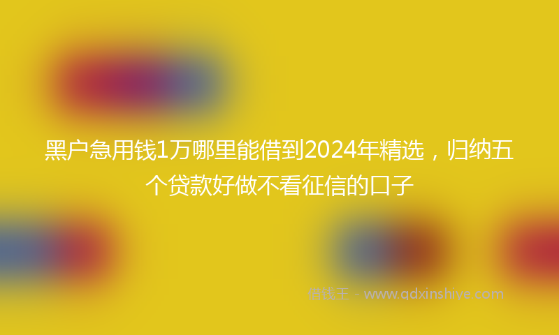 黑户急用钱1万哪里能借到2024年精选，归纳五个贷款好做不看征信的口子