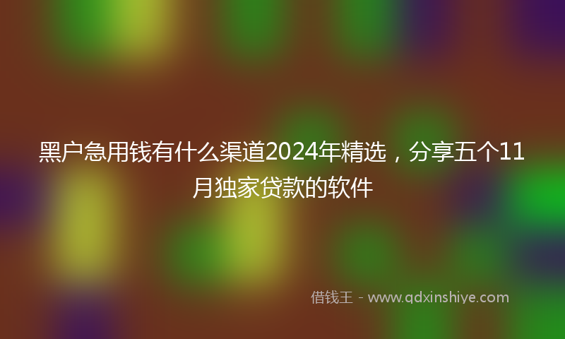 黑户急用钱有什么渠道2024年精选，分享五个11月独家贷款的软件