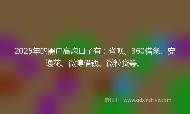 2025年的黑户高炮口子有：省呗、360借条、安逸花、微博借钱、微粒贷等。
