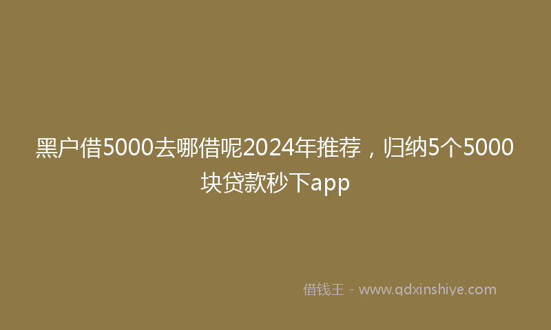 黑户借5000去哪借呢2024年推荐，归纳5个5000块贷款秒下app