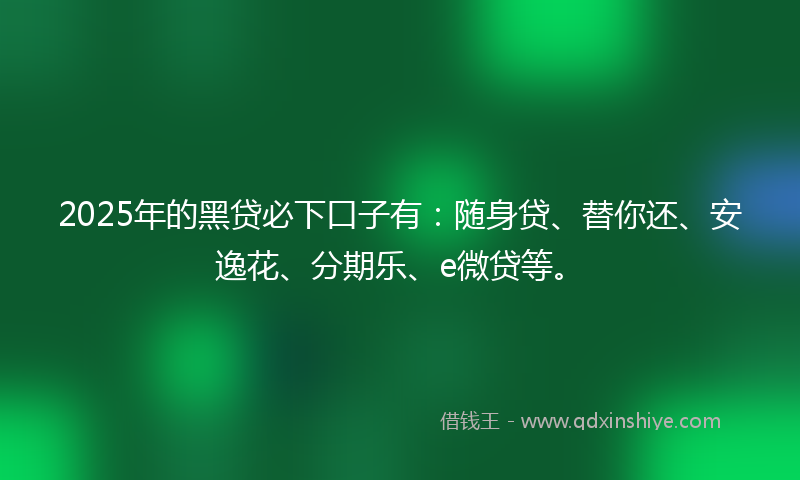 2025年的黑贷必下口子有：随身贷、替你还、安逸花、分期乐、e微贷等。