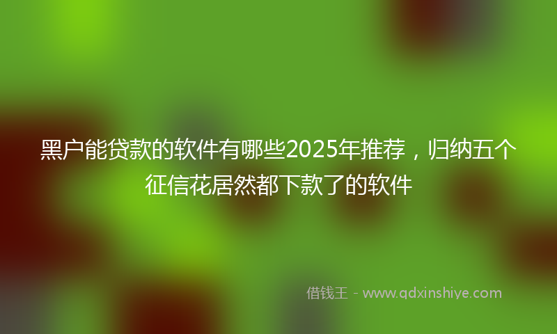 黑户能贷款的软件有哪些2025年推荐，归纳五个征信花居然都下款了的软件