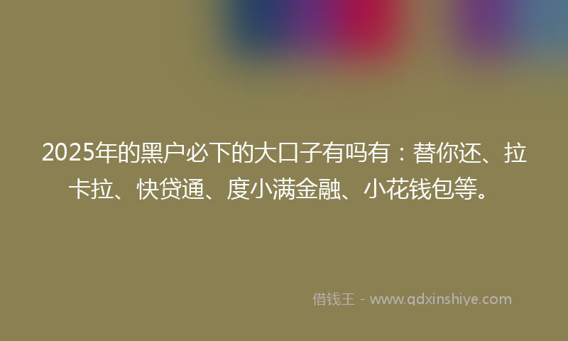 2025年的黑户必下的大口子有吗有：替你还、拉卡拉、快贷通、度小满金融、小花钱包等。