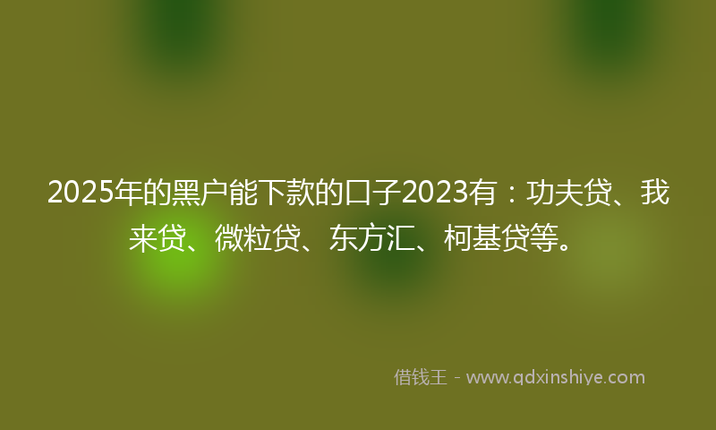 2025年的黑户能下款的口子2023有：功夫贷、我来贷、微粒贷、东方汇、柯基贷等。