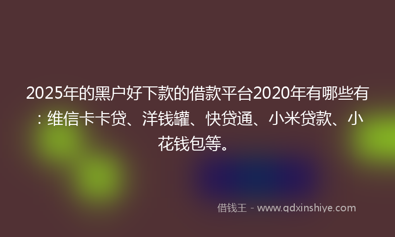 2025年的黑户好下款的借款平台2020年有哪些有：维信卡卡贷、洋钱罐、快贷通、小米贷款、小花钱包等。