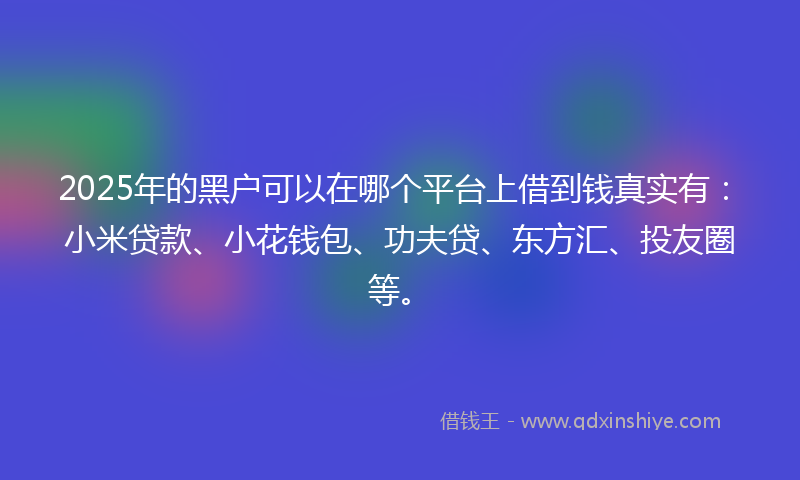 2025年的黑户可以在哪个平台上借到钱真实有：小米贷款、小花钱包、功夫贷、东方汇、投友圈等。