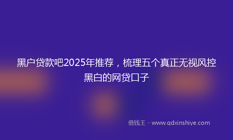 黑户贷款吧2025年推荐，梳理五个真正无视风控黑白的网贷口子