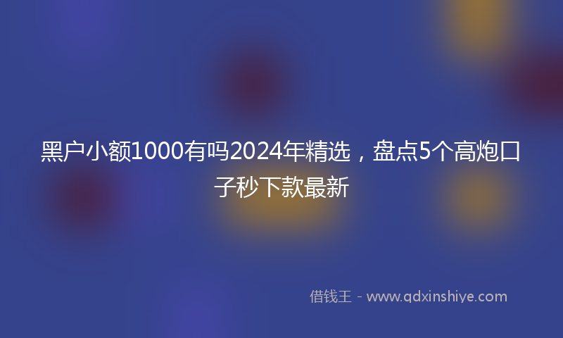 黑户小额1000有吗2024年精选，盘点5个高炮口子秒下款最新