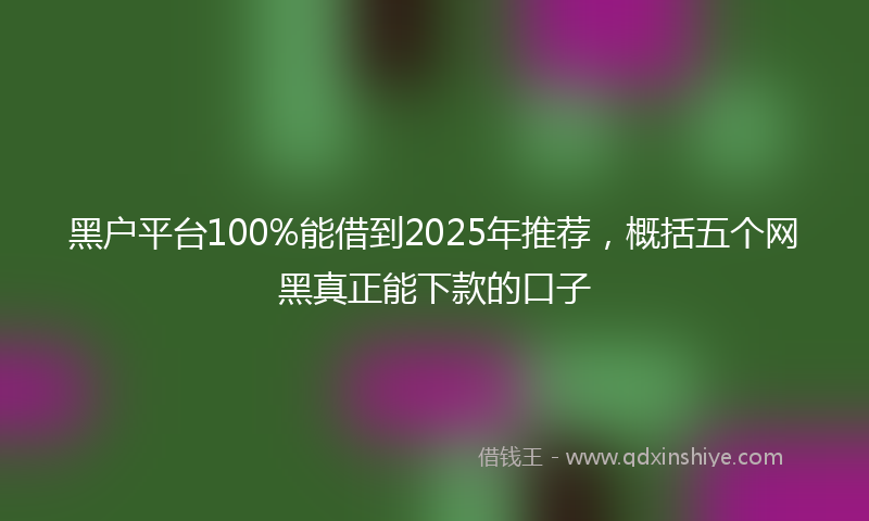 黑户平台100%能借到2025年推荐，概括五个网黑真正能下款的口子