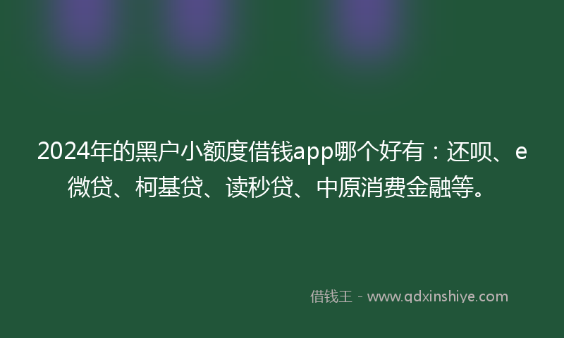 2024年的黑户小额度借钱app哪个好有：还呗、e微贷、柯基贷、读秒贷、中原消费金融等。