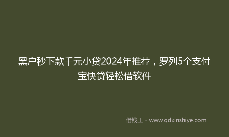 黑户秒下款千元小贷2024年推荐，罗列5个支付宝快贷轻松借软件