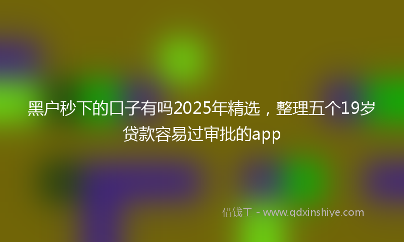 黑户秒下的口子有吗2025年精选，整理五个19岁贷款容易过审批的app