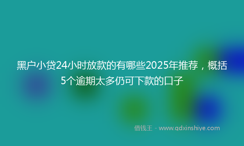 黑户小贷24小时放款的有哪些2025年推荐，概括5个逾期太多仍可下款的口子