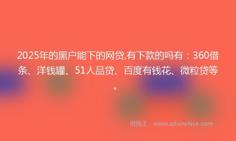 2025年的黑户能下的网贷,有下款的吗有：360借条、洋钱罐、51人品贷、百度有钱花、微粒贷等。
