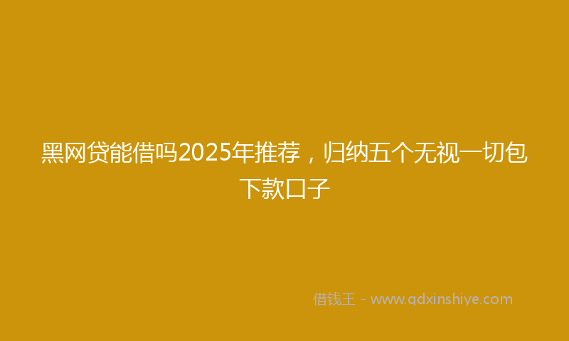 黑网贷能借吗2025年推荐，归纳五个无视一切包下款口子