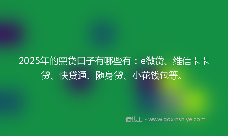 2025年的黑贷口子有哪些有：e微贷、维信卡卡贷、快贷通、随身贷、小花钱包等。