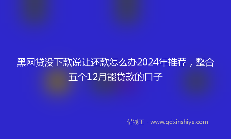 黑网贷没下款说让还款怎么办2024年推荐，整合五个12月能贷款的口子