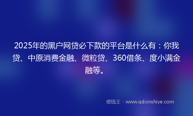 2025年的黑户网贷必下款的平台是什么有：你我贷、中原消费金融、微粒贷、360借条、度小满金融等。