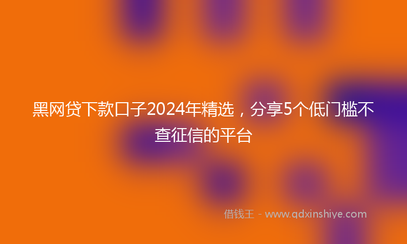 黑网贷下款口子2024年精选，分享5个低门槛不查征信的平台