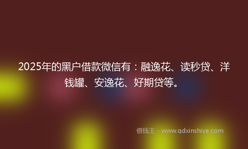 2025年的黑户借款微信有：融逸花、读秒贷、洋钱罐、安逸花、好期贷等。