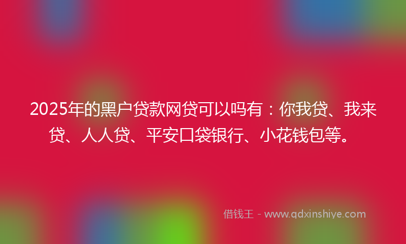 2025年的黑户贷款网贷可以吗有：你我贷、我来贷、人人贷、平安口袋银行、小花钱包等。
