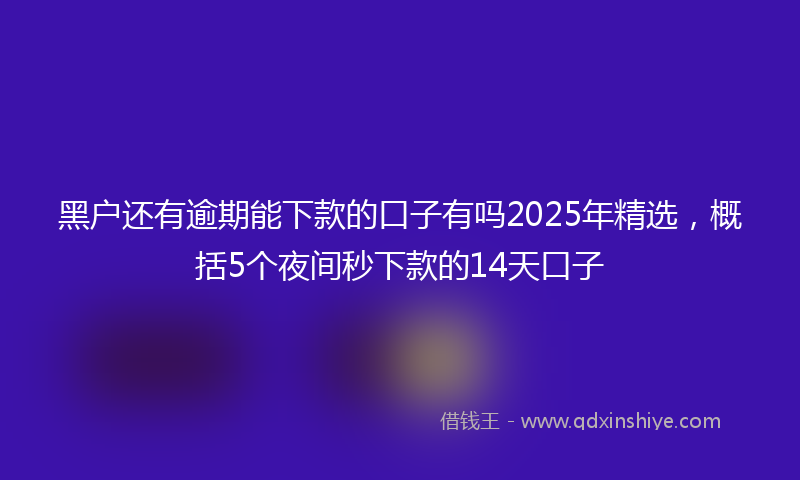 黑户还有逾期能下款的口子有吗2025年精选，概括5个夜间秒下款的14天口子