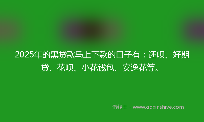 2025年的黑贷款马上下款的口子有：还呗、好期贷、花呗、小花钱包、安逸花等。