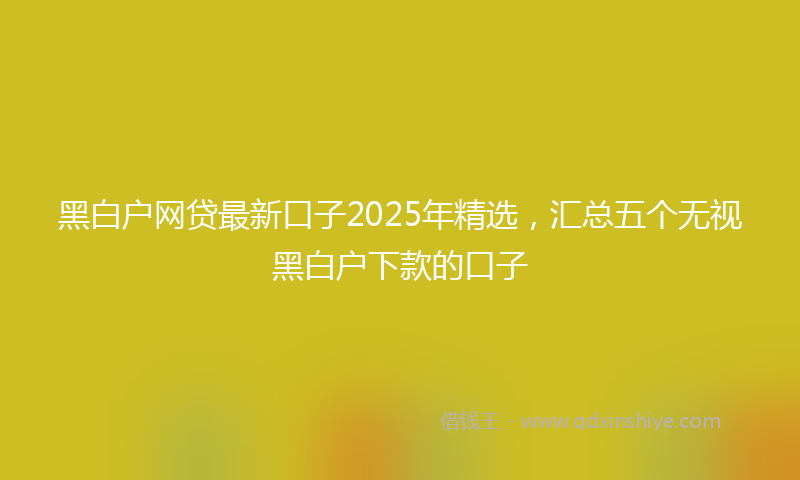 黑白户网贷最新口子2025年精选，汇总五个无视黑白户下款的口子