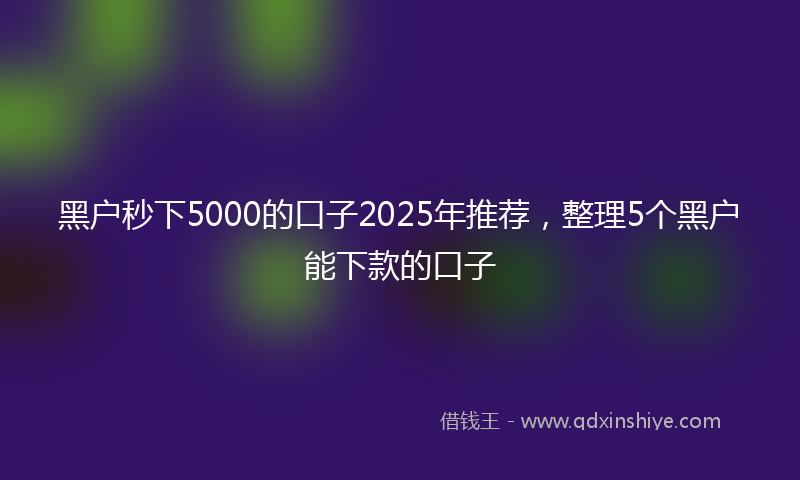 黑户秒下5000的口子2025年推荐，整理5个黑户能下款的口子