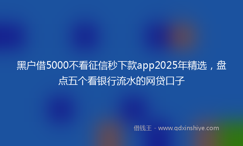 黑户借5000不看征信秒下款app2025年精选，盘点五个看银行流水的网贷口子