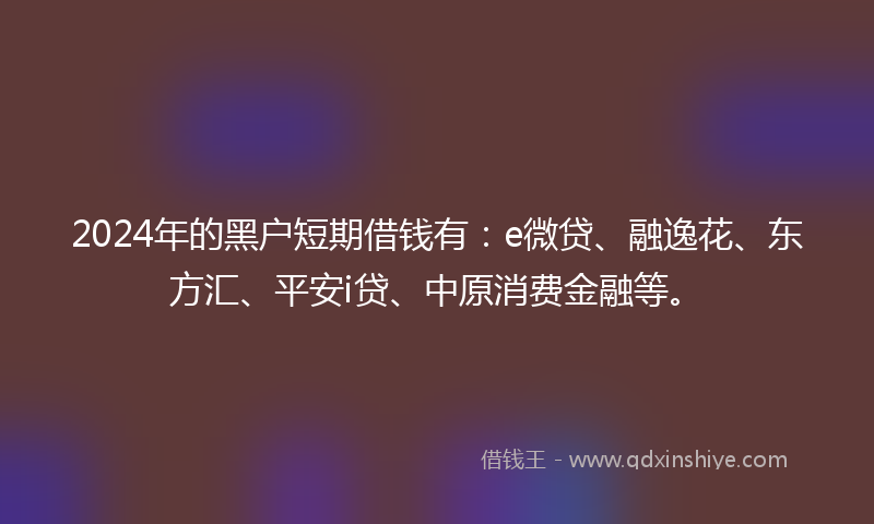 2024年的黑户短期借钱有：e微贷、融逸花、东方汇、平安i贷、中原消费金融等。