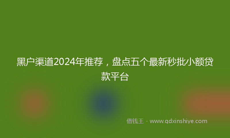 黑户渠道2024年推荐，盘点五个最新秒批小额贷款平台
