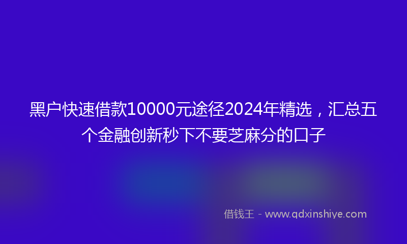 黑户快速借款10000元途径2024年精选，汇总五个金融创新秒下不要芝麻分的口子