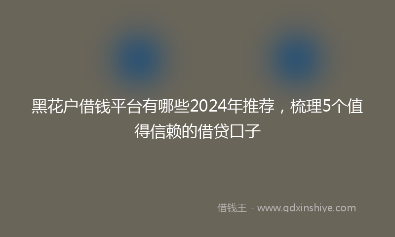 黑花户借钱平台有哪些2024年推荐，梳理5个值得信赖的借贷口子