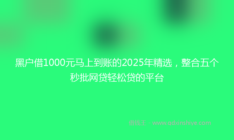 黑户借1000元马上到账的2025年精选，整合五个秒批网贷轻松贷的平台