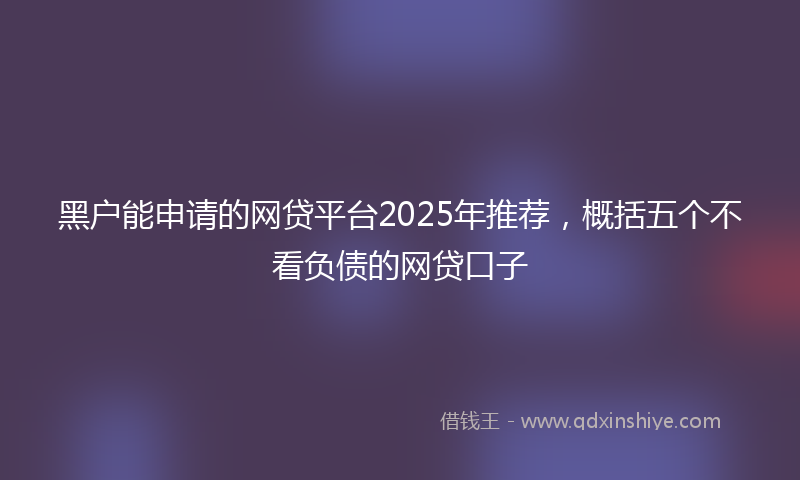 黑户能申请的网贷平台2025年推荐，概括五个不看负债的网贷口子